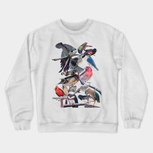 Birds Crewneck Sweatshirt